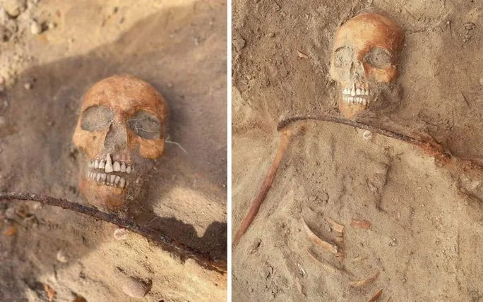 Archaeological burial with a sickle placed across the neck